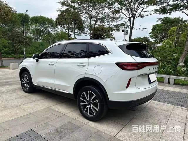 哈弗H6 2020款 1.5GDIT 双离合 铂金都市版 - 图片 5