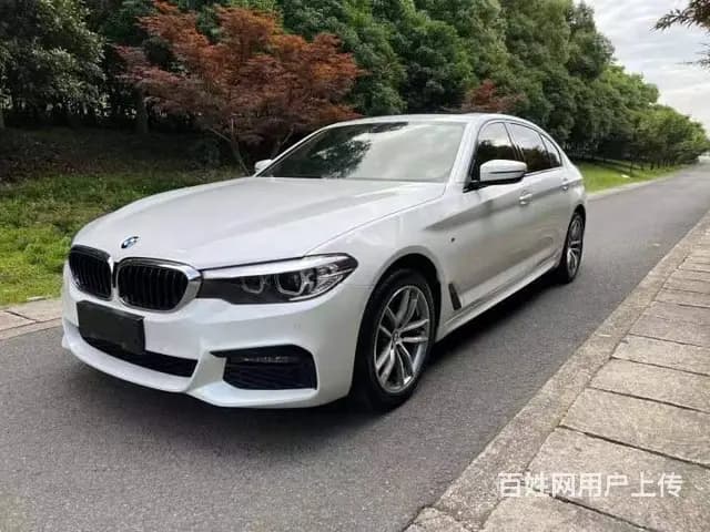 宝马5系 2020款 525Li 2.0T 手自一体 豪华套 - 图片 3